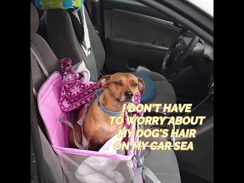 Portable Dog Car Seat