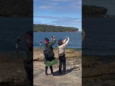 #Laperouse #botanybay #sydney #australia #sept2023  #Bareisland #beach #harbor #sundayfunday