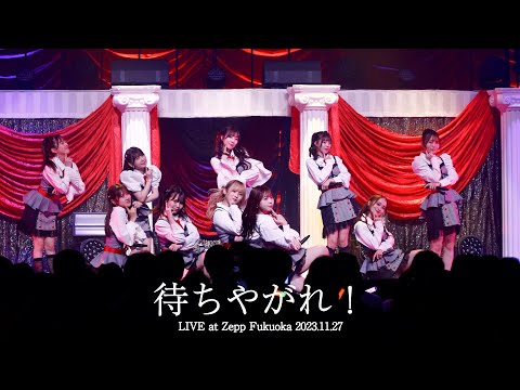 【LIVE】待ちやがれ！ (HKT48 秋LIVE2023～博多にまつわるエトせとら～)／HKT48[公式]