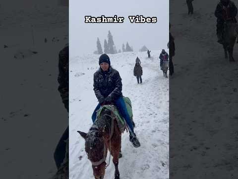 Kashmir snowfall…. #kashmir #snow #snowfall #gulmarg #travelvlog #travel #youtubeshorts #trending