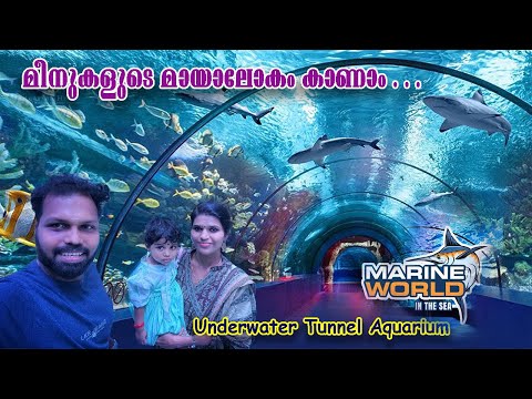 മറൈൻ വേൾഡിലെ കാഴ്ചകൾ കാണാം🦈🦈 - Marine World  Underwater Tunnel Aquarium - Kollam Ashram