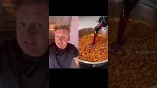 Gordon Ramsay rates Notorious Foodie’s Shepherds Pie! #gordonramsay #pie #shepherdspie #homecooking