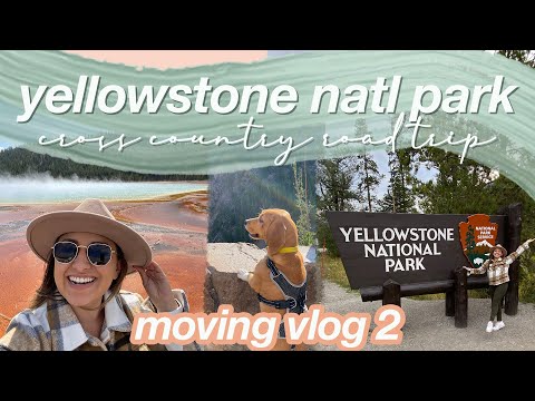 A DAY IN YELLOWSTONE - MOVING VLOG 2 | cross country road trip OR to FL