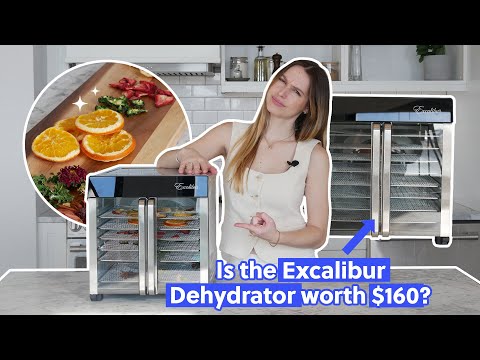 I Tried the Excalibur Dehydrator for DIY Dehydrated Snacks (Full Review) | Take My Money