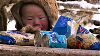 how north nomads do grocery shopping in Arctic/ no shops for 500 km!