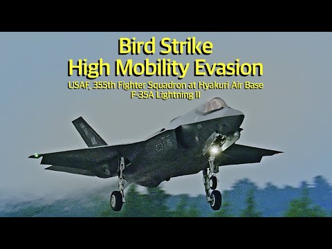 [ASMR 百里基地] 米空軍F-35 ローアプローチ中 バードストライクを高機動回避　USAF, 355th FS / F-35A　Bird Strike High Mobility Evasion