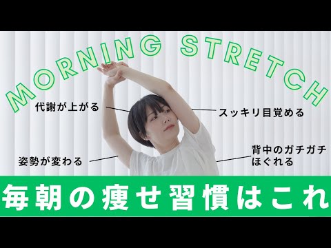 【8分だけ】毎朝ストレッチで消費カロリーをあげて痩せる！最高の1日になるモーニングルーティン🌱