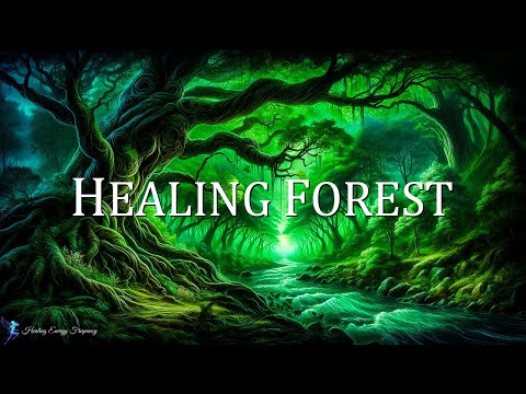 Healing Forest Ambience | 639 Hz + 528 Hz - Miracle Tones | Attract Love, Wealth, Health & Blessi...