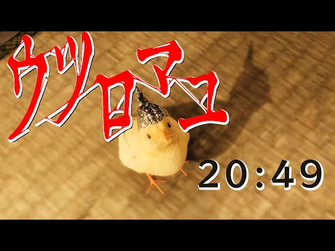 ウツロマユRTA　20分49秒【EASY・解説なし】