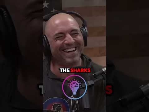 Joe Rogan Reacts to One of the Biggest Sharks in the World! 🦈