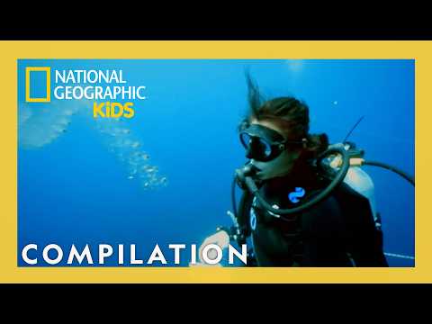 Behind the Scenes with Nat Geo Explorers 🗺️🧭 | You Wanna Be a What?! Compilation | @natgeokids