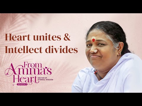 Recognizing our shortcomings  - From Amma's Heart S3 E49