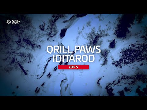 Iditarod Highlight | DAY 5 | QRILLPAWS 2021