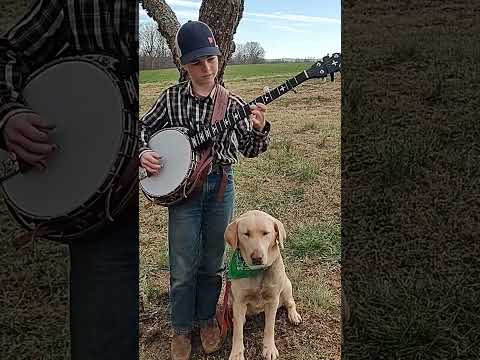 Josiah and Jesse play "Bill Cheatham" ❤️❤️ #banjo