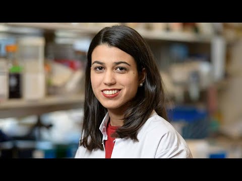 Meet a Scientist! Corina Amor: Hunting Down Aging