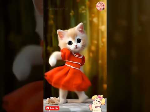 Patli kamariya mor hai hai 😂 || cat dance || #cat #kitten #catdance