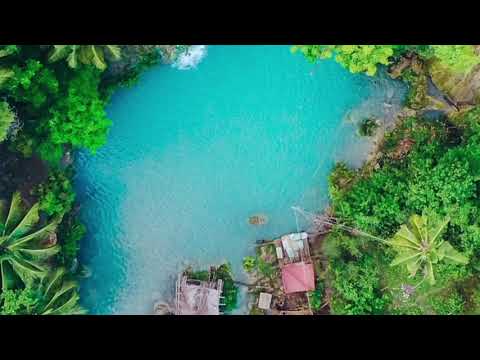 Calming music|SOOTHING relaxation nature music forest and river sounds