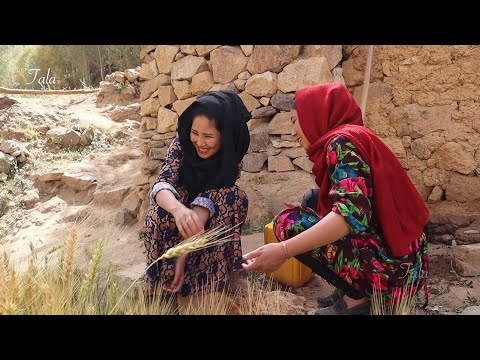 Daily Life | Cooking style | Villagers who live in the farthest part of the world