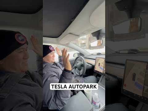 “ TESLA AUTOPARK “ #teslamodely #teslamodel3