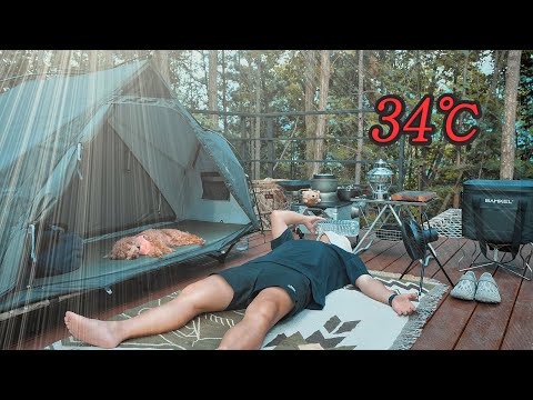 Solo Camping in Heat Wave with My Dog . Cosy Tent . Relaxing sounds ASMR