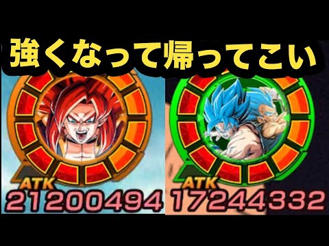 極限前最後に7周年コンビ使ってみた！【ドッカンバトル】【Dragon Ball Z Dokkan Battle】