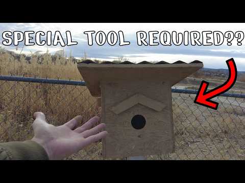 I had to buy a tool to solve this Gadget Geocache! | GeoTrek