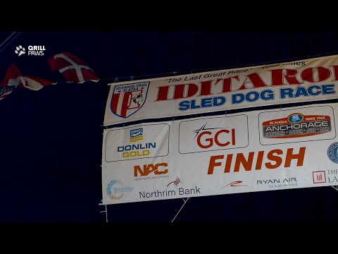 Iditarod's 4 Champions | QRILLPAWS 2021