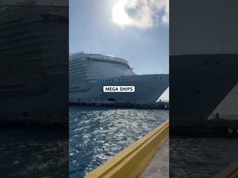 LARGEST CRUISE SHIPS ! #shorts #royalcaribbean #cruise