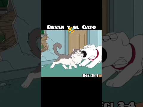 El Gato y Bryan 😂😸 #familyguy #funny #dogs #shorts #shortsfeed #shortsviral