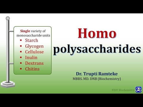 5: Homopolysaccharides | carbohydrates Chemistry | Biochemistry | N'JOY Biochemistry