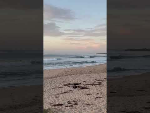 #HerahsBeach #April2023 #australia #Austinmer #sunrise #beachlife #surf #wollongong