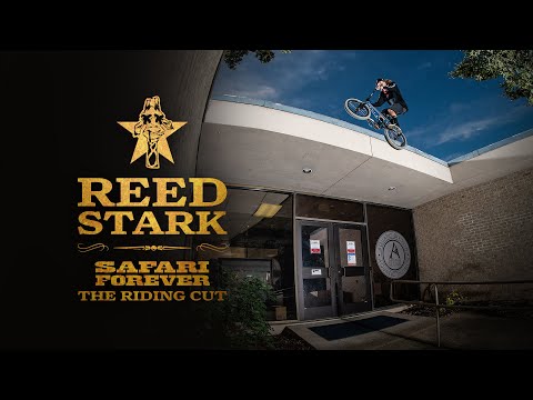 Reed Stark 'SAFARI FOREVER' Riding Cut - BSD