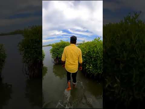 Maryland island Kollam II Islands in kerala ❤️