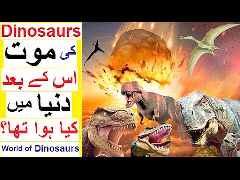 What Happened after Dinosaurs Died ?