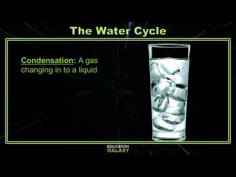 5th Grade - Science - The Water Cycle - Topic Video