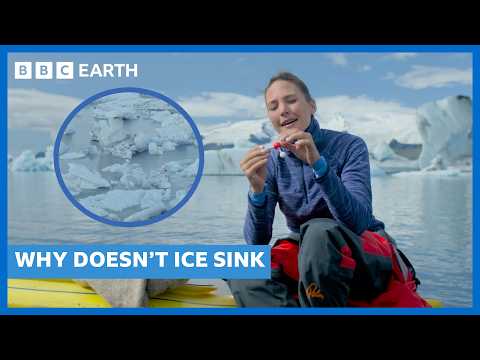 Why Does Ice Float? Unlocking Water's Mysteries | BBC Earth Science