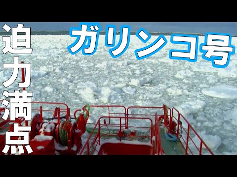 冬の北海道の風物詩！流氷観光船「ガリンコ号」で真っ白な海へ｜紋別市