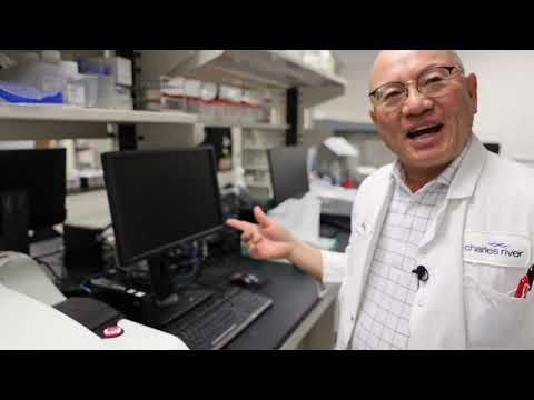 Highlighting Dr. Masakazu Tsuchiya, Senior Research Scientist at Charles River Labs