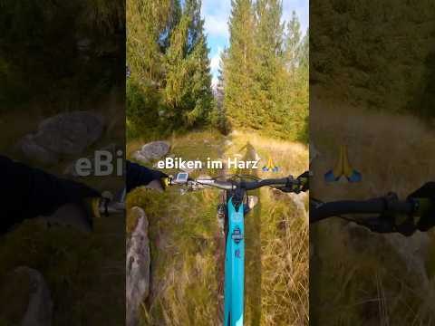 eBiken im Harz ⚡️🌳🙏 #mtb #downhill #mountainbike #gopro #freeride #harz #emtb #ebike