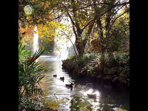 🍂Warm Autumn Morning Meditation by a Water Fountain 🍂 Nature is pleased with simplicity 🍂🦆🍁⛲