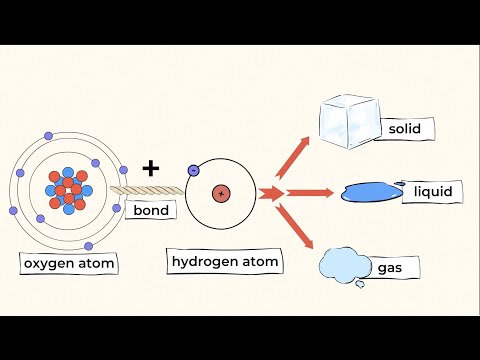 What is the smallest particle of matter? The mighty Atom! | MightyOwl Science | 5th Grade