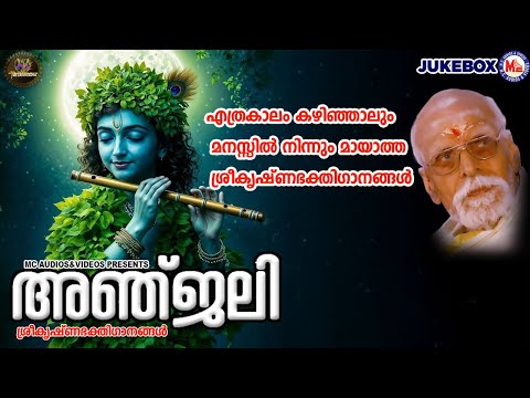 എത്രകാലം കഴിഞ്ഞാലും മനസ്സിൽ നിന്നും മായാത്ത ശ്രീകൃഷ്ണഭക്തിഗാനങ്ങൾ  | Sree krishna Songs Malayalam