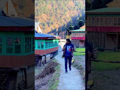 Tirthan Valley - Offbeat of Himachal Pradesh #tirthanvalley #himachalpradesh #shorts