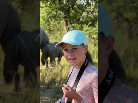 Come with me on an adventure in the bush - where two amazing species of rhino come face to face! 🦏🦏