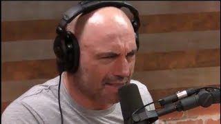 Joe Rogan's Morning Routine