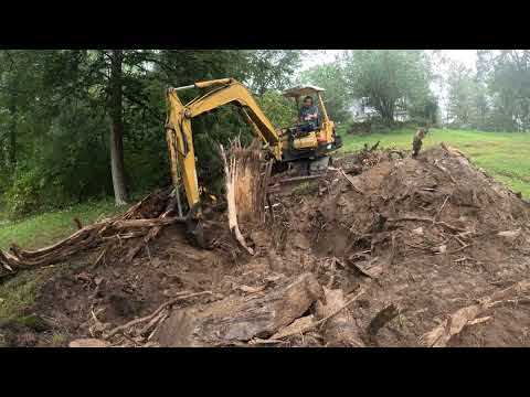 Cleaning up a fallen tree with an excavator