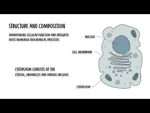 Introduction to the cell cytoplasm and cell organelles