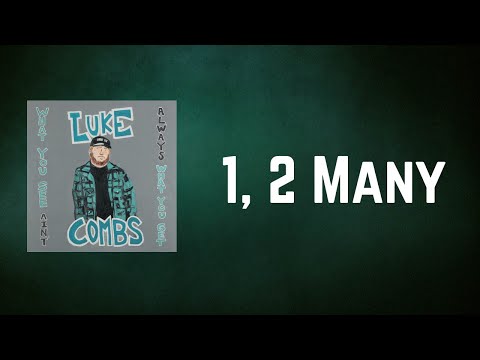 Luke Combs - 1, 2 Many (Lyrics)