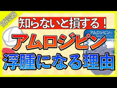 イラストで学ぶ医学！「アムロジピンで浮腫が見られる理由をわかりやすく解説１」Ca拮抗薬/浮腫/利尿薬