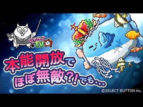 【にゃんこTV】本能開放！『生きろ！マンボウ！』コラボにゃ【にゃんこ大戦争公式】